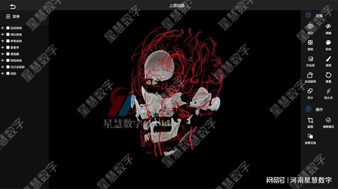 乐鱼电子官网颈部静脉、舌动脉……VR口腔剖解假造仿真让脉管进修像在玩游戏(图2)