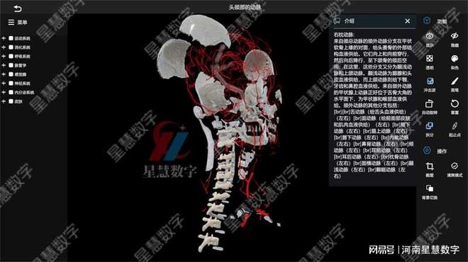 乐鱼电子官网颈部静脉、舌动脉……VR口腔剖解假造仿真让脉管进修像在玩游戏(图3)